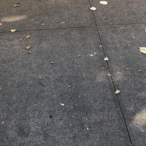 Meet your Posher, Thomas